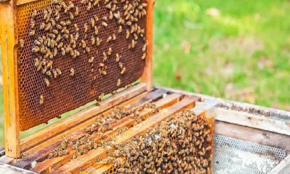 കടുത്തുരുത്തി ബ്ലോക്ക് കൃഷി അസിസ്റ്റന്‍റ് ഡയറക്ടറുടെ ആഭിമുഖ്യത്തിൽ നവംബര്‍ 15, 16, 18 തീയതികളില്‍ കര്‍ഷകര്‍ക്ക് തേനിച്ച കൃഷി ട്രെയിനിങ്ങ് സംഘടിപ്പിക്കുന്നു