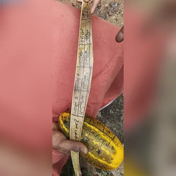 ചരമവാര്‍ഷിക ദിനത്തിൽ മെഴുകുതിരി കത്തിക്കാനെത്തിയപ്പോൾ കാണുന്നത് കല്ലറയുടെ സ്ലാബിളക്കി വെള്ളത്തുണിയില്‍ പൊതിഞ്ഞ് അറബി വാക്കുകള്‍ എഴുതിയ വെള്ളരിക്ക! കൂടോത്രമെന്ന് പരാതി