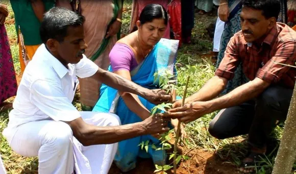 കുടയത്തൂര്‍ ഗ്രാമപ്പഞ്ചായത്തില്‍ പച്ചത്തുരുത്തിന് തുടക്കമിട്ടു