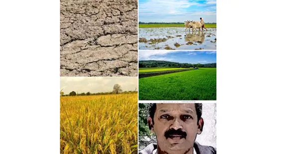 വയലും ഞാനും