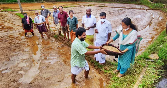 തൊടുപുഴ കേന്ദ്രമായി പ്രവര്‍ത്തിക്കുന്ന സാമൂഹ്യ സന്നദ്ധ സംഘടനയായ ഫ്യൂജിഗംഗ ആരംഭിച്ചിട്ടുള്ള ജൈവ നെൽകൃഷിയുടെ വിത്തിറക്കൽ നടന്നു