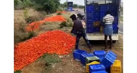 രണ്ടു ദിവസം മുൻപ് കിലോയ്ക്ക് 3 രൂപ വിലയുണ്ടായിരുന്ന തക്കാളിക്ക് ഇപ്പോള്‍ വില 2 രൂപയായി താഴ്ന്നു... മഹാരാഷ്ട്രയിൽ കർഷകർ തക്കാളി റോഡുകളിൽ വലിച്ചെറിയുന്നു !