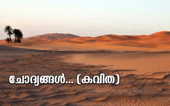 ചോദ്യങ്ങൾ... (കവിത)