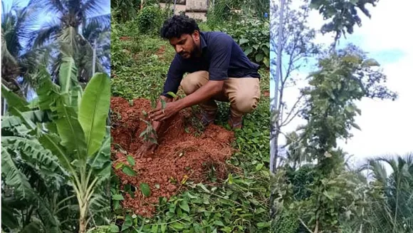 മണ്ണാർക്കാട് നജാത്ത് കോളേജിൽ പരിസ്ഥിതി ദിനം ആചരിച്ചു