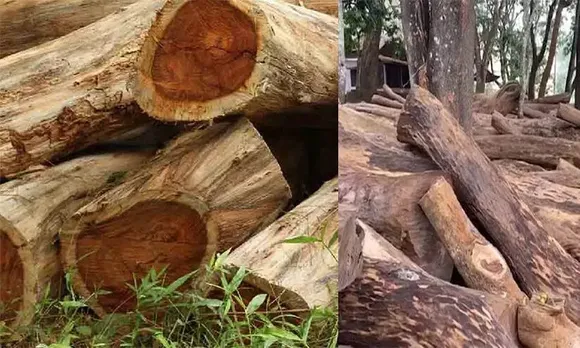 മുട്ടിൽ മരംമുറി കേസ് അന്വേഷണ ഉദ്യോഗസ്ഥന് സ്ഥലം മാറ്റം