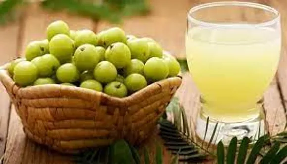നെല്ലിക്ക ജ്യൂസ് കഴിച്ചാൽ കിട്ടുന്ന ആരോ​ഗ്യ​ ഗുണങ്ങൾ എന്തൊക്കെയെന്ന് നോക്കാം..