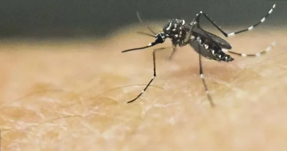 പനി ബാധിതരിൽ പ്രകടമാകുന്നത് പുതിയ ലക്ഷണങ്ങൾ ; പ്രത്യേക പഠനം വേണമെന്ന ആവശ്യം ശക്തം