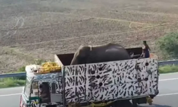 അനിശ്ചിത്വത്തിന് വിരാമം; അരിക്കൊമ്പനെ മുത്തുക്കുളി വനത്തിൽ തുറന്നുവിട്ടു