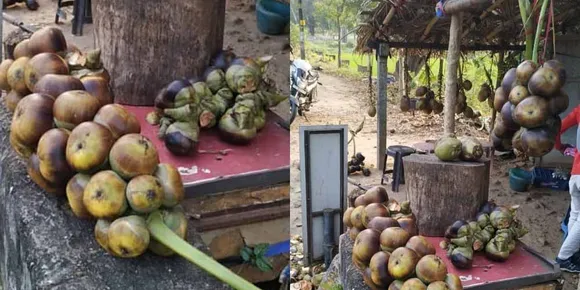 വേനൽ ചൂട് കനത്തതോടെ നെന്മാറ - നെല്ലിയാമ്പതി പാതയോരങ്ങളില്‍ പനനൊങ്ക് വ്യാപാരം സജീവമായി