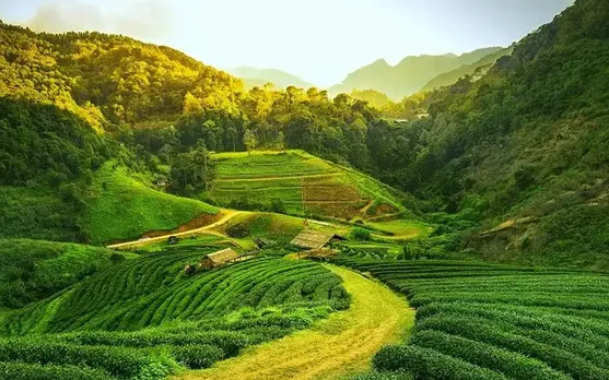 ഇന്ത്യയിലേയ്ക്കാണ് നിങ്ങളുടെ വിനോദയാത്രയെങ്കിൽ ആദ്യം കാണേണ്ടത് കാഴ്ചയുടെ ഒരു കലവറതന്നെ.  പ്രകൃതിയുടെ സ്വന്തം ആ നാട് ഇങ്ങനെ ...