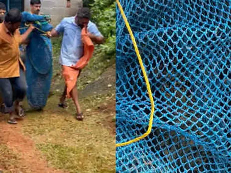 പത്തനംതിട്ട സീതത്തോട്  റോഡരികിൽ പുലിക്കുട്ടിയെ കണ്ടെത്തി; കാലിൽ പരിക്ക്
