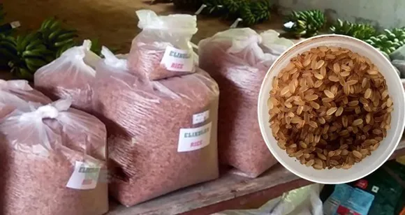 വരുന്നു 'എലിക്കുളം' അരി, കിലോഗ്രാമിന് 50 രൂപ