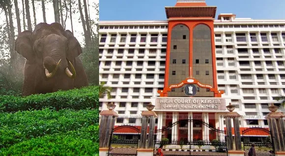 അരിക്കൊമ്പനെ പറമ്പിക്കുളത്തേക്ക് മാറ്റുന്നതിനെതിരെ ജനകീയ സമിതി ഇന്ന് ഹൈക്കോടതിയിൽ ഹർജി നൽകും