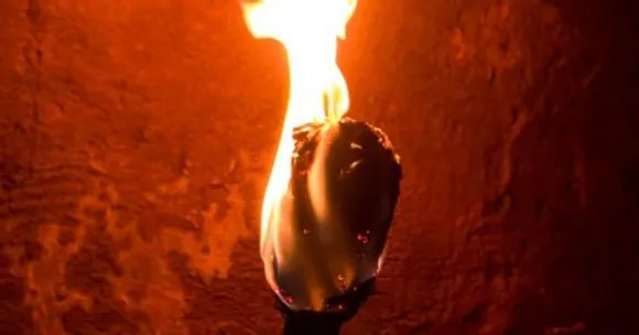 മേമനെകൊല്ലി (നോവൽ - ഭാഗം 14)