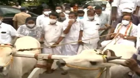 ഇന്ധനവില വർധനയ്‍ക്കെതിരെ കാളവണ്ടി സമരം ചെയ്ത് കോൺഗ്രസ് നേതാക്കൾ