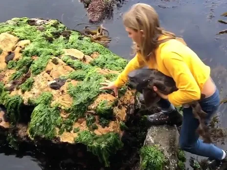 11 കാരിയുടെ സാഹസികത ! മൺതിട്ടയിൽ കുടുങ്ങിപ്പോയ അപകടകാരിയായ ഷാർക്ക് മത്സ്യത്തെ രക്ഷപെടുത്തി കടലിൽ വിട്ടു