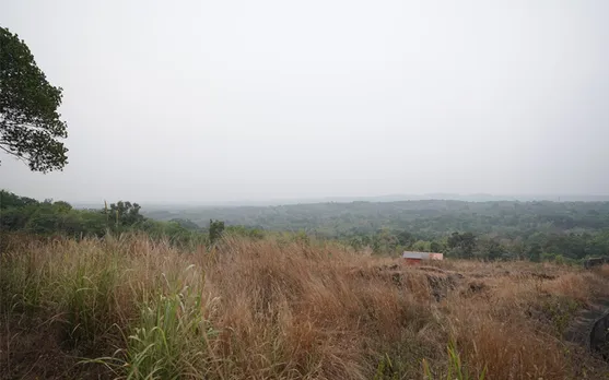 വയലാ ഞരളപ്പുഴ ടൂറിസം പദ്ധതിക്കായി സർവ്വകക്ഷി യോഗം ചേർന്നു; പച്ചക്കൊടി കാട്ടി പഞ്ചായത്തും ഡിറ്റിപിസിയും