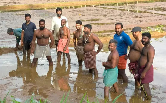 യുവത്വത്തിന്റെ കൂട്ടായ്മ; കല്ലൂർക്കാട് ഇനിയും വിളയും നൂറുമേനി...