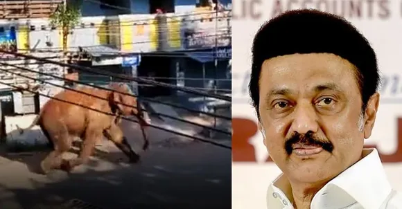 അരികൊമ്പന്‍ അക്രമാസക്തന്‍, മയക്കുവെടി വെയ്ക്കുമെന്ന് തമിഴ്‌നാട്; ജനങ്ങള്‍ പുറത്തിറങ്ങരുതെന്ന് ജില്ലാ ഭരണകൂടം; പ്രശ്‌നത്തില്‍ ഇടപെട്ട് മുഖ്യമന്ത്രി സ്റ്റാലിന്‍