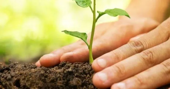 ലോകജാലകം - 6.  ഫിലിപ്പീൻസിൽ പുതിയ നിയമം - ഡിഗ്രി വേണമെങ്കിൽ മരം നടണം"