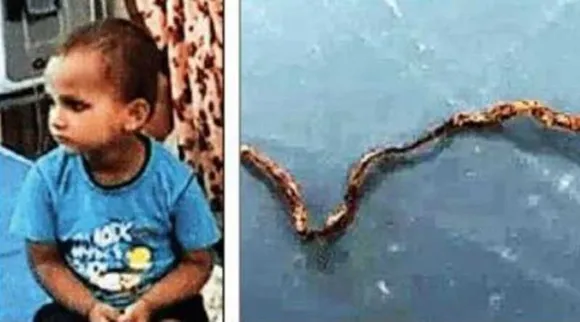 അമ്പട പാമ്പേ ; മുന്നിലേക്ക് ഇഴഞ്ഞെത്തിയ പാമ്പിനെ പിടിച്ച് വായിലിട്ട് ചവച്ച് കൊന്ന് മൂന്നുവയസുകാരൻ