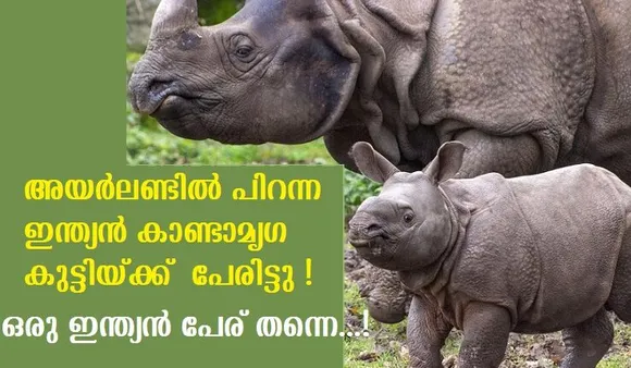 അയര്‍ലണ്ടില്‍ പിറന്ന ഇന്ത്യന്‍ കാണ്ടാമൃഗ കുട്ടിയ്ക്ക് പേരിട്ടു !