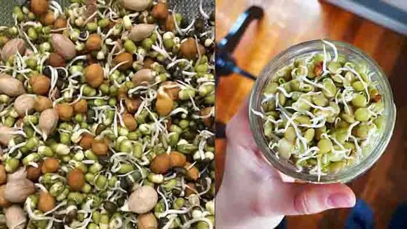 മുളപ്പിച്ച പയറുവര്‍ഗങ്ങള്‍ കഴിക്കേണ്ടത് ഇങ്ങനെ