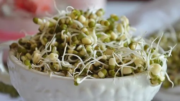 മുളപ്പിച്ച ചെറുപയര്‍ പ്രോട്ടീനുകളുടെയും വിറ്റാമിനുകളുടെ കലവറ!