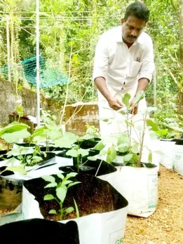 ലോക്‌ഡൗണിലും രാമപുരത്തെ പൊതുപ്രവർത്തകനായ സി ടി രാജന്റെ അടുക്കളത്തോട്ടം തളിരിടുകയാണ്