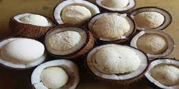 തേങ്ങായുടെപ്പൊങ്ങിൽ നിന്ന് ഭക്ഷ്യവിഷബാധയേറ്റു; മലപ്പുറത്ത് അഞ്ചരവയസ്സുകാരനടക്കം 15 പേർ ആശുപത്രിയിൽ