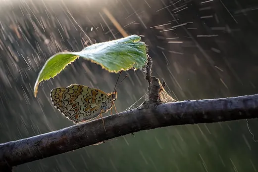 കടന്നു പോയത് 47 വര്‍ഷത്തിനിടെ ഏറ്റവും മഴ കുറഞ്ഞ ജൂണ്‍ 