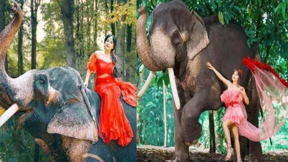 നടിയെ കുളിപ്പിച്ച് ഗജ'രാജ' !  വൈറലായി ബിഗ്‌ ബോസ് താരം സാക്ഷി അഗര്‍വാളിന്‍റെ ഫോട്ടോഷൂട്ട്