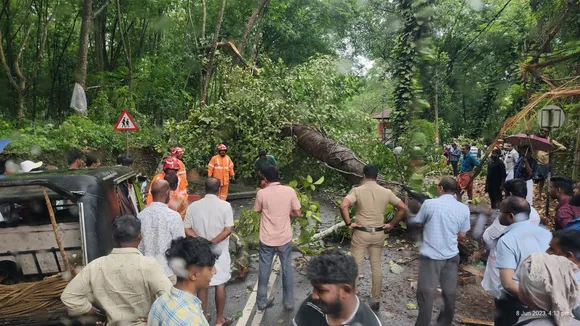 മുട്ടത്ത് വന്‍മരത്തിന്റെ ശിഖരം റോഡിലേക്ക് ഒടിഞ്ഞു വീണു; ഒരു മണിക്കൂറോളം  ഗതാഗതം തടസപ്പെട്ടു