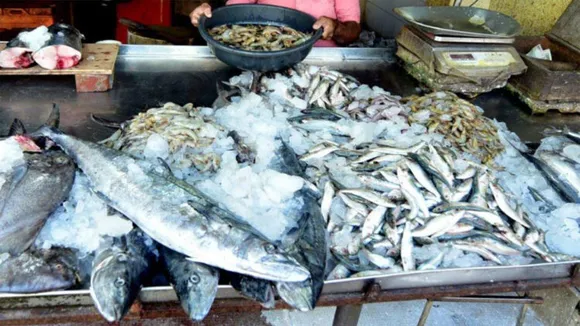 പാലായിൽ നിന്നും ചീഞ്ഞ മത്സ്യം പിടിച്ചെടുത്തു