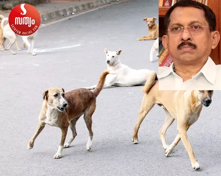 അമ്മക്കു ഭ്രാന്തു പിടിച്ചാലും ചങ്ങലക്കിട്ടേ പറ്റൂ ? അപ്പോൾ പട്ടിക്ക് ഭ്രാന്ത് പിടിച്ചാലോ ! റോഡിലെ കുഴികളേക്കാൾ ഭയാനകമാണ് നായ്ക്കൾ. പട്ടി കടിക്കുന്നതും കൊള്ളാത്ത വാക്സിൻ കുത്തിവയ്ക്കുന്നതുമൊക്കെ നമുക്കൊരു വാർത്ത മാത്രമാണ്. പക്ഷെ കടി കിട്ടിയവൻ കുരച്ചു മരിയ്ക്കുന്നതിനെക്കുറിച്ചാണ് ചിന്തിക്കുക. സ്വയം സംരക്ഷിക്കാന്‍ എന്തും ചെയ്യാമെന്ന് ഐപിസി 97 -ാം വകുപ്പില്‍ പറയുന്നുണ്ട്. എങ്കിൽ പേപ്പട്ടികളെ കൊല്ലാൻ ഉത്തരവിടണം. എങ്കിൽ വീണയാകും ഹീറോ - 'നിലപാടി'ൽ  എഡിറ്റർ ആർ അജിത്കുമാർ