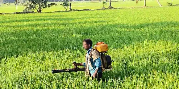 അയിലൂർ പഞ്ചായത്തിലെ വിവിധ പാടശേഖരങ്ങളില്‍ നെല്ലിന് ബാക്ടീരിയ മൂലമുള്ള അസുഖം വ്യാപിക്കുന്നു. കര്‍ഷകര്‍ ആശങ്കയില്‍