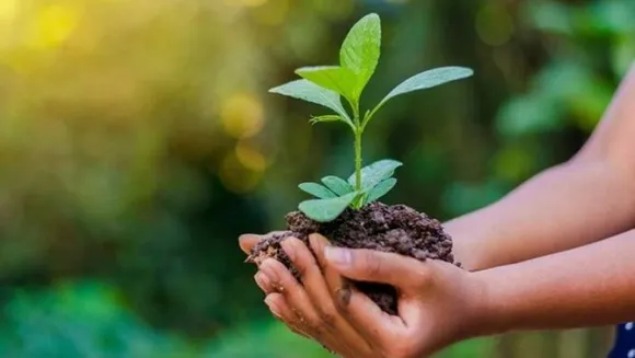 പ്രകൃതി സംരക്ഷണ ദിന പരിപാടികളുമായി ബാപ്പുജി സ്വാശ്രയസംഘം