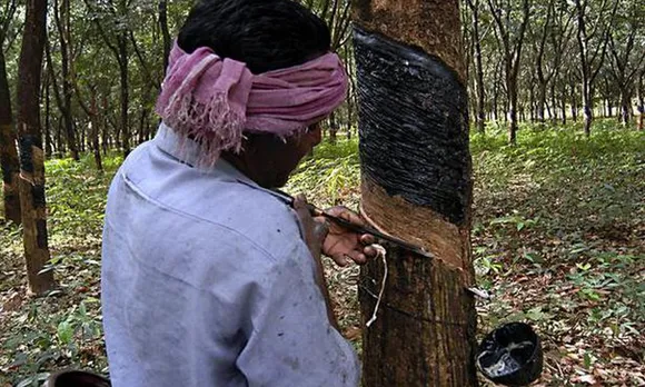കേരളത്തിലെ റബ്ബർ കർഷകർ ദുരിതത്തിലാണ്; എന്താണ് ദുരിതത്തിന് കാരണമെന്നോ അതിന് പരിഹാരമെന്തെന്നോ അന്വേഷിക്കാനോ പരിഹാരം നിർദ്ദേശിക്കാനോ ഇവിടെ കേന്ദ്ര - സംസ്ഥാന സർക്കാരുകളോ റബ്ബർ ബോർഡോ തയ്യാറാകുന്നില്ല എന്നതാണ് ഈ ദുരിതങ്ങളെക്കാൾ ദുരിതം; ക്യാപ്റ്റൻ ജോർജ് ജോസഫ് വാതപ്പള്ളി എഴുതുന്നു