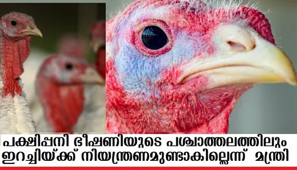 പക്ഷിപ്പനി ഭീഷണിയുടെ പശ്ചാത്തലത്തിലും ഇറച്ചിയ്ക്ക് നിയന്ത്രണമുണ്ടാകില്ലെന്ന് കൃഷി മന്ത്രി
