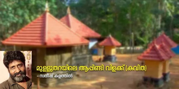 മുള്ളുതറയിലെ ആപ്പിണ്ടി വിളക്ക് (കവിത)