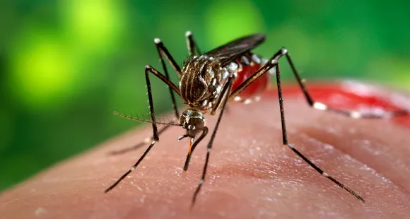 സിക വൈറസ് : കേന്ദ്രസംഘം ഇന്ന് ആരോഗ്യവകുപ്പിലെ ഡയറക്ടറുമായും ഡി എം ഒയുമായും കൂടിക്കാ‍ഴ്ച നടത്തും
