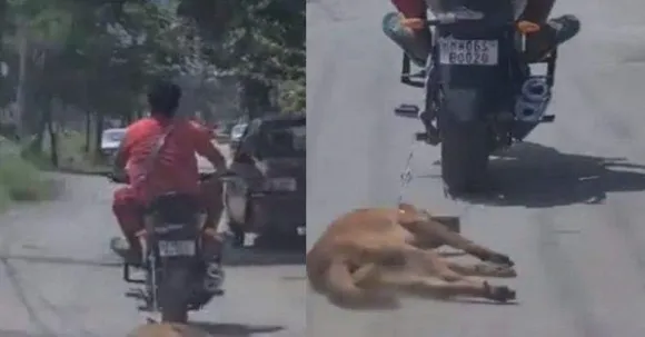  നായയെ മോട്ടോര്‍ ബൈക്കില്‍ കെട്ടി വലിച്ച് നിഷ്‌കരുണം കൊലപ്പെടുത്തി; വലിച്ചിഴച്ച് കൊണ്ടുപോയത് രണ്ട് കിലോമീറ്റര്‍,  ഇറച്ചി 6000 രൂപയ്ക്ക് വിറ്റു