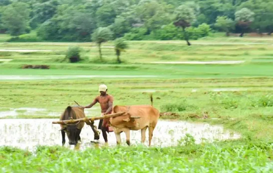 'കാലിയ പദ്ധതി'; 41 ലക്ഷത്തിലധികം കർഷകർക്ക് 869 കോടി രൂപ ലഭിക്കും