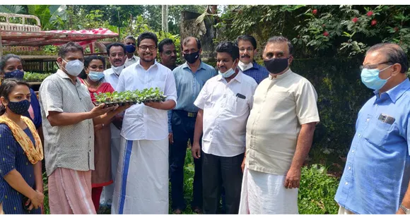 ഉഴവൂർ ഗ്രാമപഞ്ചായത്തിൽ ഹൈബ്രിഡ് പച്ചക്കറി തൈകൾ വിതരണം ചെയ്തു