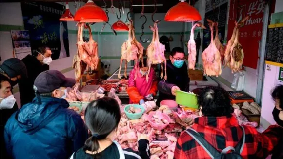 ചൈനയിലെ കുപ്രസിദ്ധ ‘വെറ്റ് മാർക്കറ്റ്’ വീണ്ടും തുറന്നു. എല്ലായിനം ഇഴ ജന്തുക്കളുടെയും മാംസം സുലഭം