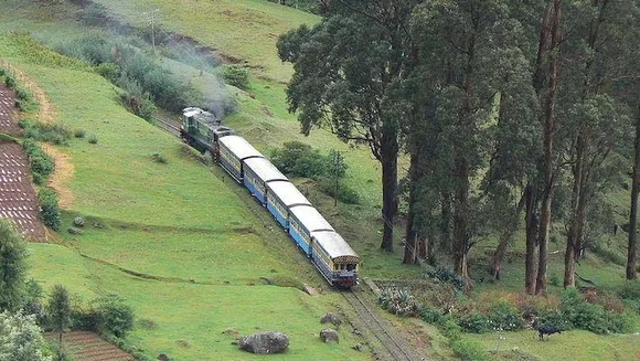 നീലഗിരിക്കാരുടെ ലോക്ക്ഡൗൺ ദുരിതങ്ങൾ: അധികാരികൾ കണ്ണു തുറക്കുക