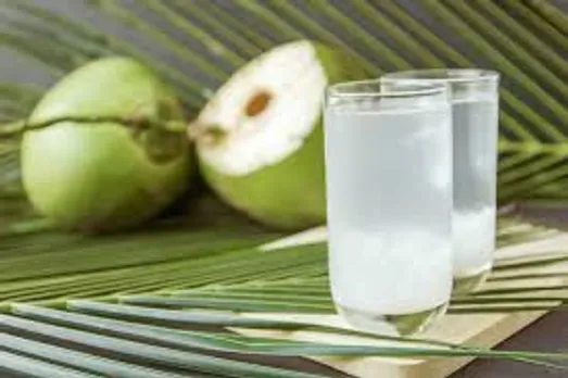 വേനല്‍ക്കാലത്ത് ഫ്രഷ് ആയി നിലനിര്‍ത്താൻ സഹായിക്കുന്ന ചില ഭക്ഷണങ്ങളെക്കുറിച്ച് അറിയാം