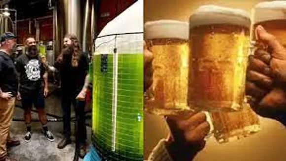 മദ്യനിര്‍മ്മാണത്തിനിടെയുണ്ടാവുന്ന കാര്‍ബണ്‍ പുറംതള്ളല്‍ തടയാന്‍ 'പായല്‍ വിദ്യ'യുമായി ബിയര്‍ കമ്പനി