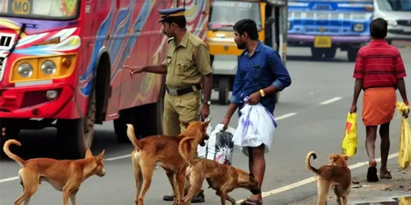 വാക്‌സിനെടുക്കാന്‍ തെരുവുനായ്ക്കളെ പിടിച്ചുകൊടുക്കണമെന്ന് ഉത്തരവ്; പറ്റില്ലെന്ന് പൊലീസ്