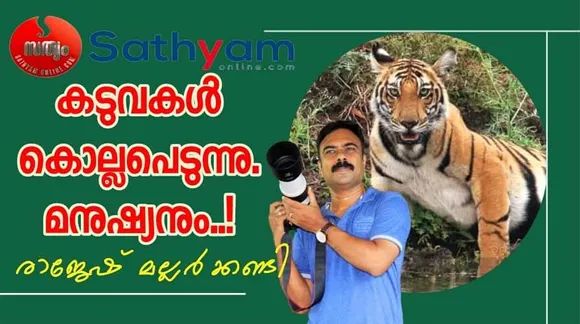 ഇന്ത്യയിൽ കഴിഞ്ഞ ഒരു മാസത്തിനുള്ളിൽ 26 കടുവകളെയാണ് നഷ്ടപ്പെട്ടത്. അതുപോലെതന്നെയാണ് കടുവ ആക്രമണത്തിൽ കൊല്ലപ്പെടുന്ന മനുഷ്യരുടെ കാര്യവും. കടുവകൾ കൊല്ലപ്പെടുന്നു... മനുഷ്യനും... ? (ലേഖനം)